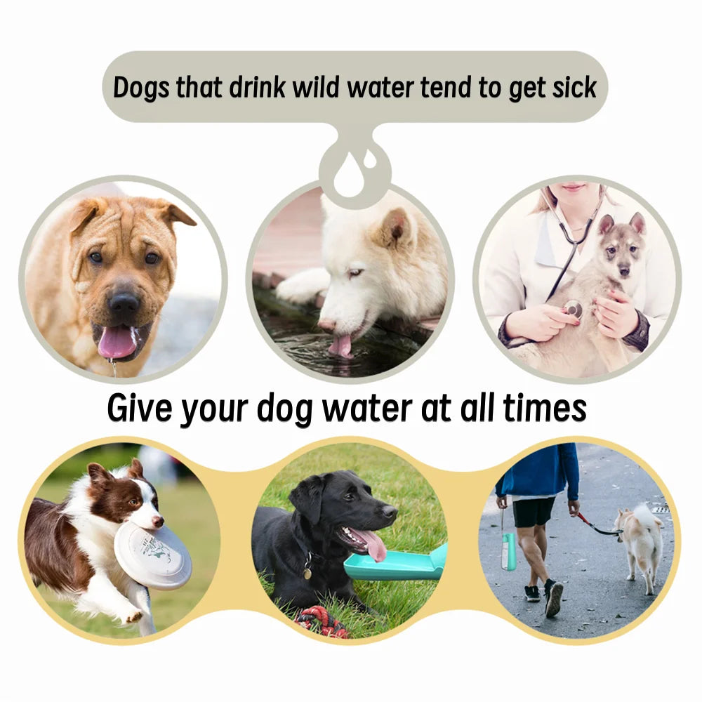 Draagbare Honden Waterfles 550ml | Lekvrije Reisdrinkbak voor Honden