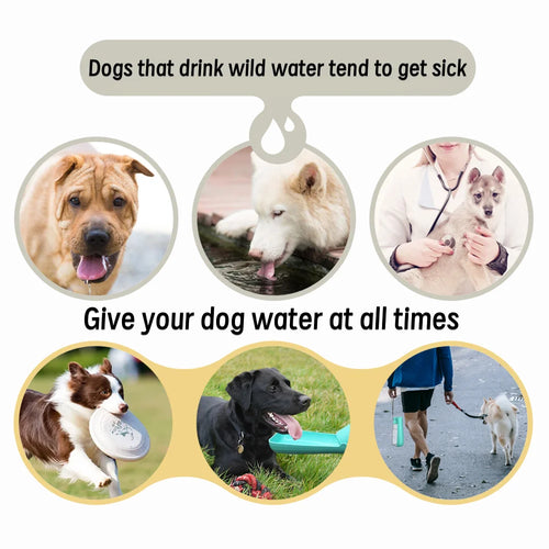 Draagbare Honden Waterfles 550ml | Lekvrije Reisdrinkbak voor Honden